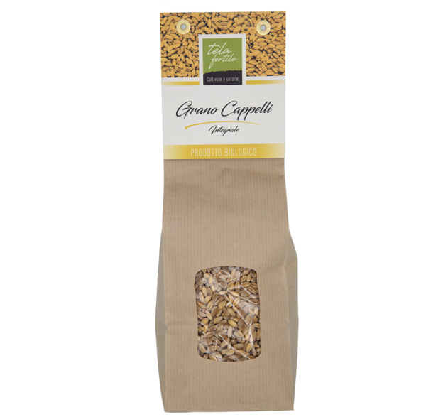 Grano cappelli tela fertile